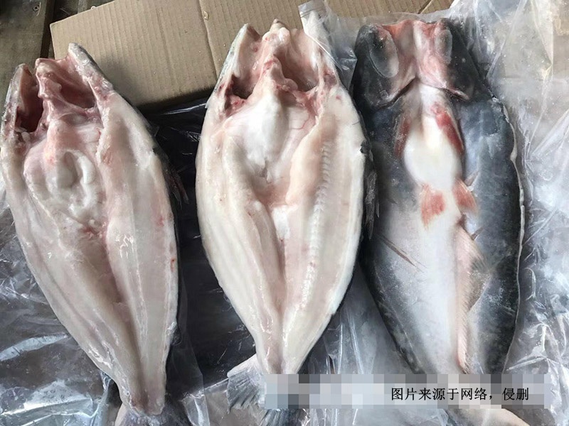 越南冷凍巴沙魚(yú)進(jìn)口報(bào)關(guān)資料到深圳鹽田水產(chǎn)品案例