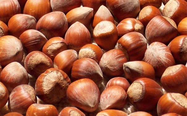 src=http___images.freeimages.com_images_large-previews_c06_hazelnuts-1500452.jpg&refer=http___images.freeimages_副本.jpg